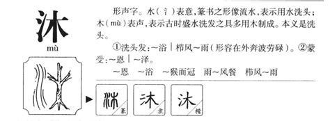 沐字五行|沐字五行属什么